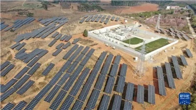 光伏板下春耕忙！興能電力讓陽光"種"出雙份收益